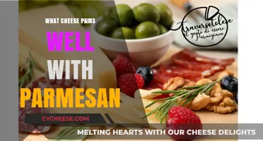 Parmesan Partners: Which Cheeses Complement Parmesan?