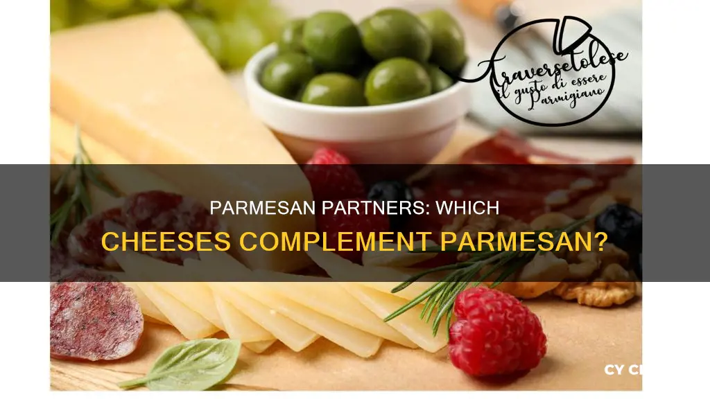 what cheese pairs well with parmesan