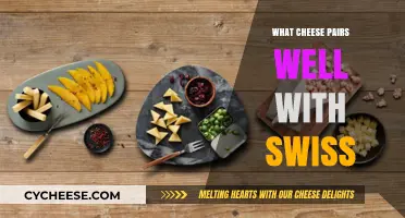 The Perfect Pair: Cheeses to Complement Swiss