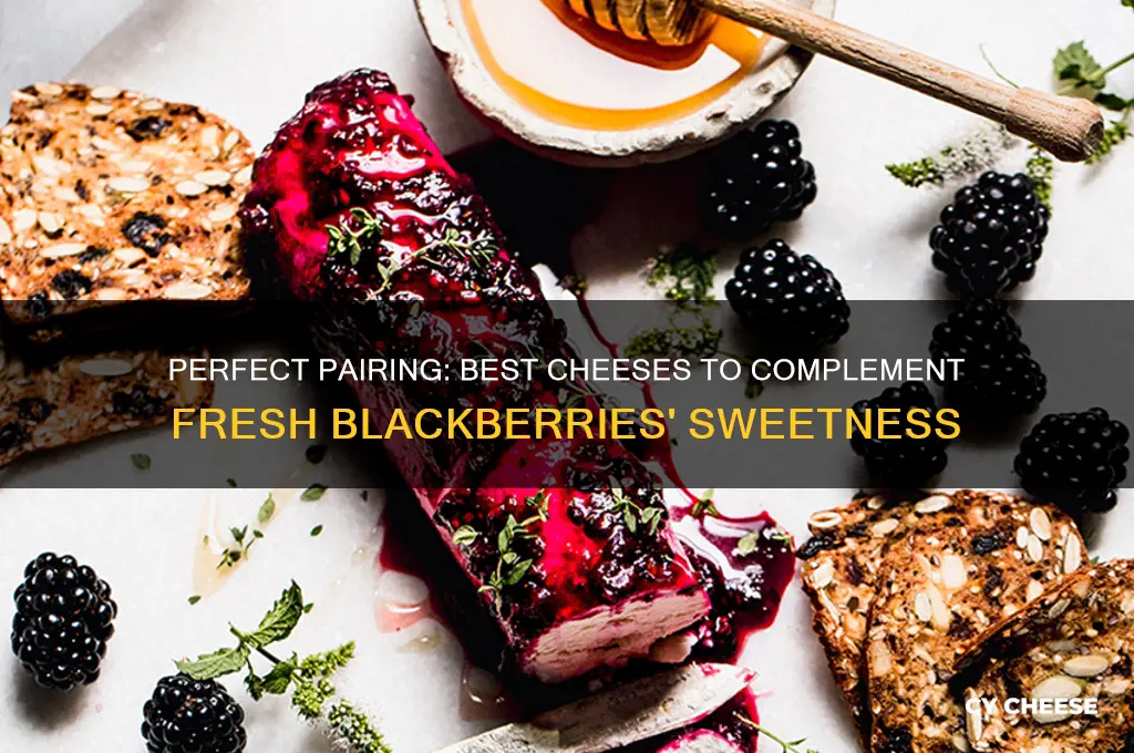 what cheese pairs with blackberries