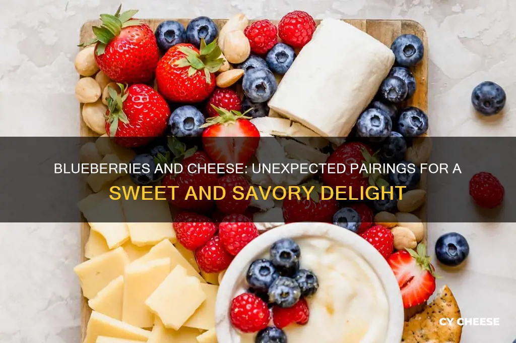 what cheese pairs with blueberries