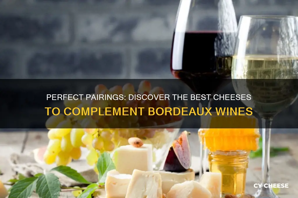 what cheese pairs with bordeaux