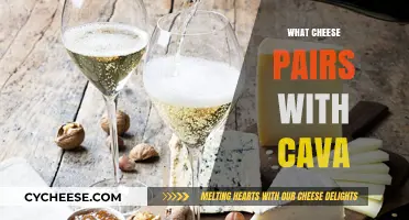 Perfect Cheese Pairings for Cava: Elevate Your Sparkling Experience