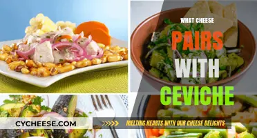 Perfect Cheese Pairings to Elevate Your Ceviche Experience