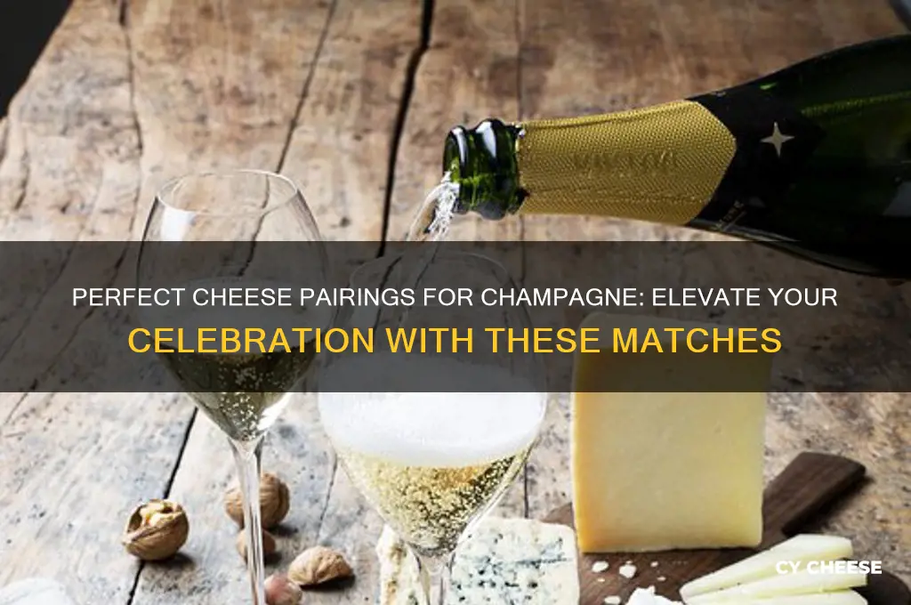 what cheese pairs with champagne