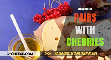 Perfect Pairing: Cherries and Cheese Combinations to Elevate Your Snack Game