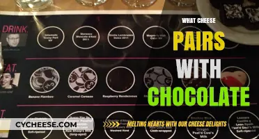 Decadent Pairings: Best Cheeses to Complement Your Chocolate Indulgence