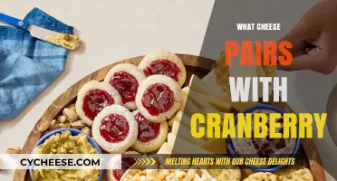 Cranberry Cheese Pairings: Perfect Combinations for Sweet and Tangy Delights