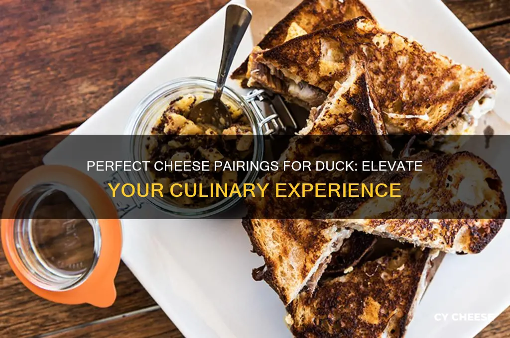 what cheese pairs with duck