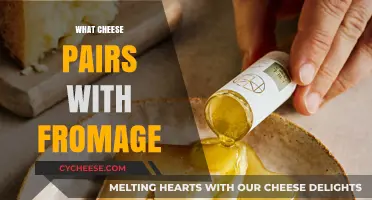 Perfect Cheese Pairings: Elevating Your Fromage Experience with Complementary Flavors