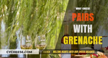 Perfect Pairings: Discover the Best Cheeses to Complement Grenache Wine