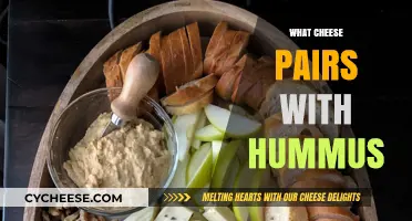 Perfect Cheese and Hummus Pairings: Elevate Your Snack Game Today