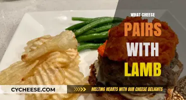Perfect Cheese Pairings for Lamb: Elevate Your Culinary Experience