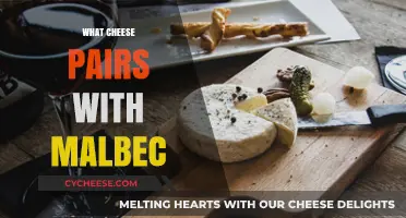 Perfect Pairings: Discover the Best Cheeses to Complement Malbec Wine
