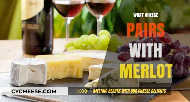 Perfect Merlot Cheese Pairings: Enhance Your Wine Experience with These Matches