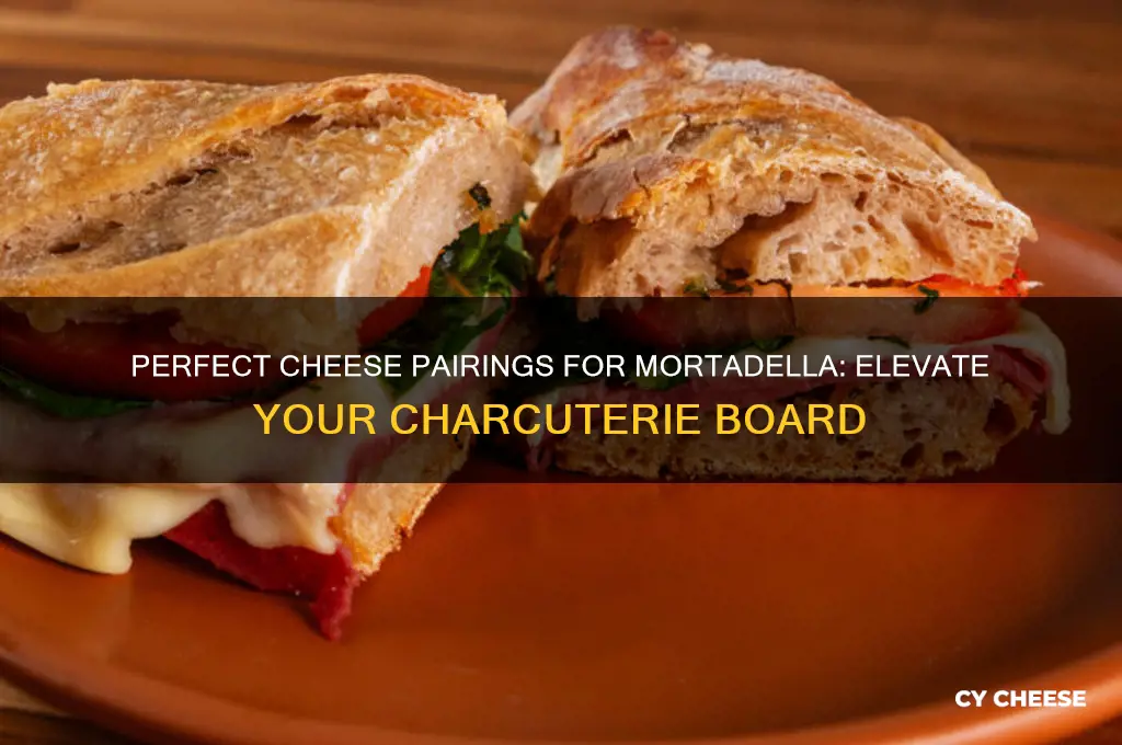 what cheese pairs with mortadella