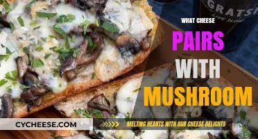Perfect Mushroom and Cheese Pairings: Elevate Your Culinary Creations Today