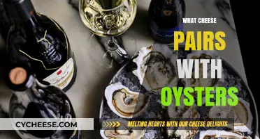 Perfect Cheese Pairings for Oysters: Elevate Your Seafood Experience