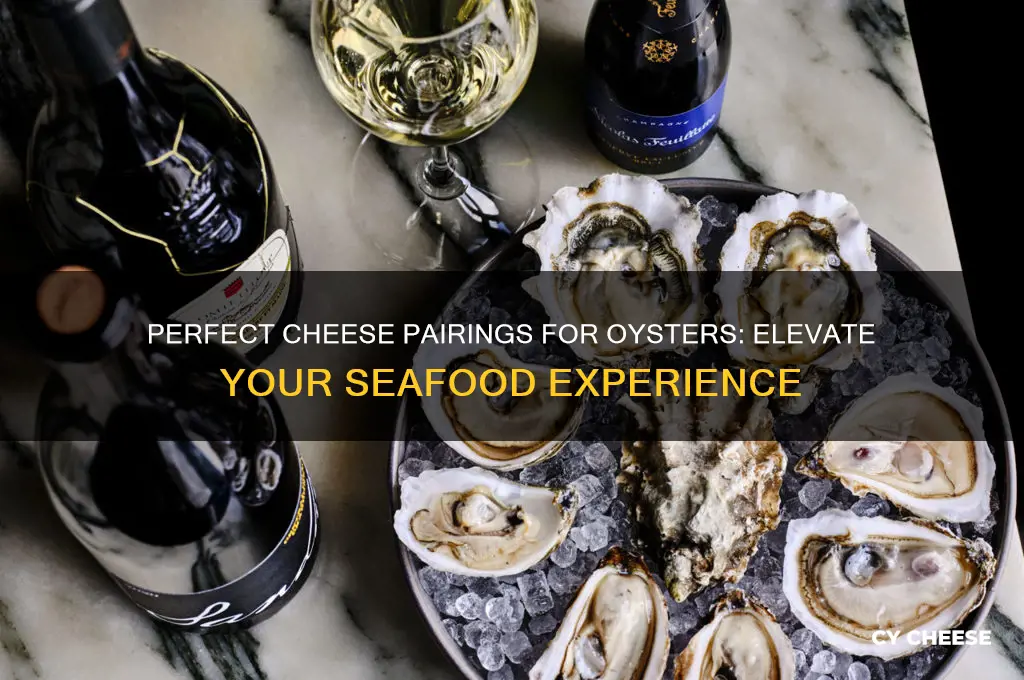 what cheese pairs with oysters