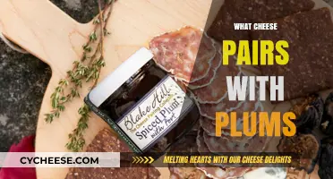 Perfect Pairings: Discover Which Cheeses Complement Plums Deliciously