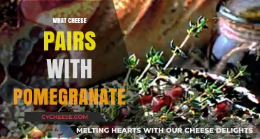 Pomegranate and Cheese: Unexpected Pairings for a Flavorful Experience