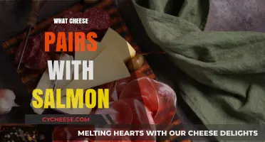 Perfect Cheese Pairings for Salmon: Elevate Your Culinary Experience