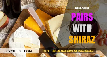 Perfect Cheese Pairings for Shiraz: Elevate Your Wine Experience