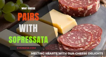 Perfect Pairings: Best Cheeses to Complement Sopressata's Bold Flavor