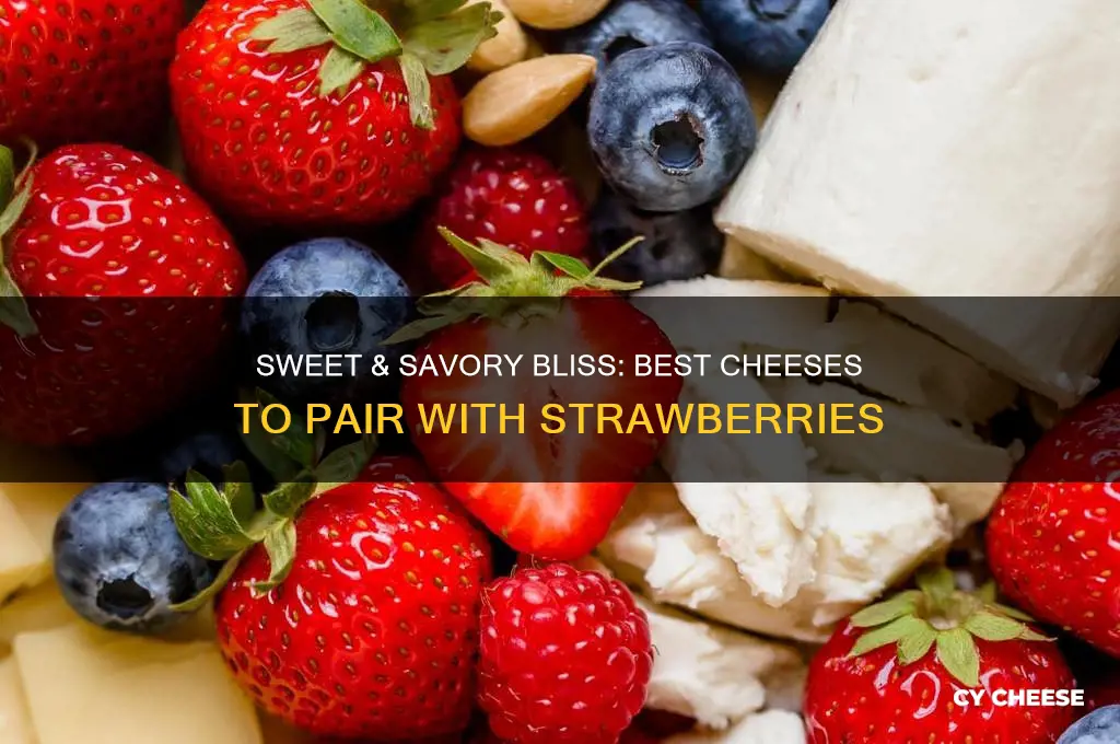 what cheese pairs with strawberries
