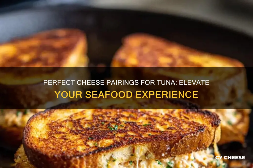 what cheese pairs with tuna
