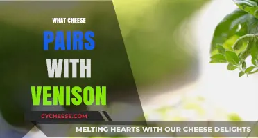 Perfect Cheese Pairings for Venison: Elevate Your Game Meat Experience