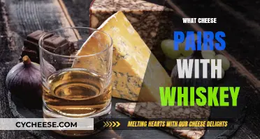 Whiskey and Cheese Harmony: Perfect Pairings for Your Next Tasting