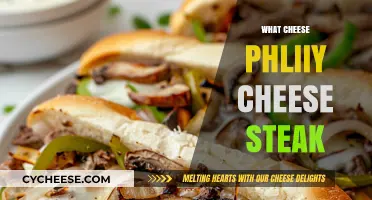 What Makes Philly Cheesesteak Cheese So Iconic and Delicious?