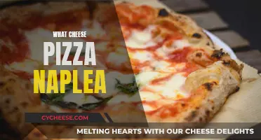 Cheese Pizza's Neapolitan Twist: A Tasty Adventure