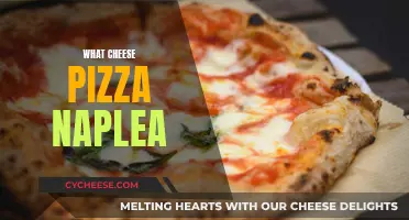 The Art of Neapolitan Pizza and Cheese
