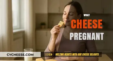 Safe Cheese Choices During Pregnancy: What to Eat and Avoid