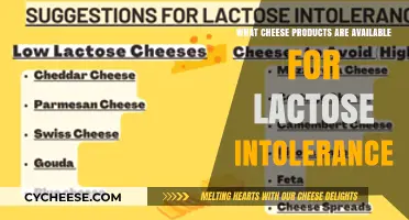 Lactose-Free Cheese Options: Delicious Dairy Alternatives for Sensitive Stomachs