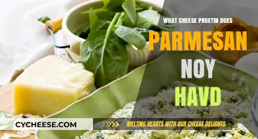 Parmesan's Missing Cheese Protein: What's the Deal?