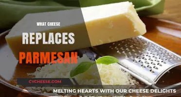 Cheese Alternatives: The Best Substitutes for Parmesan