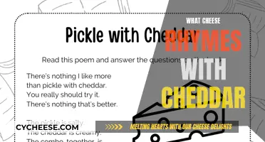 Cheese Rhyme Quest: Cheddar's Perfect Pal