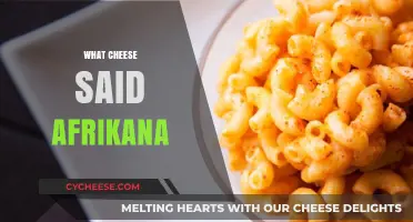 What Cheese Said Afrikana: Unveiling the Cultural Flavors and Stories