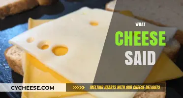 What Cheese Said: Decoding the Secrets Behind Every Slice