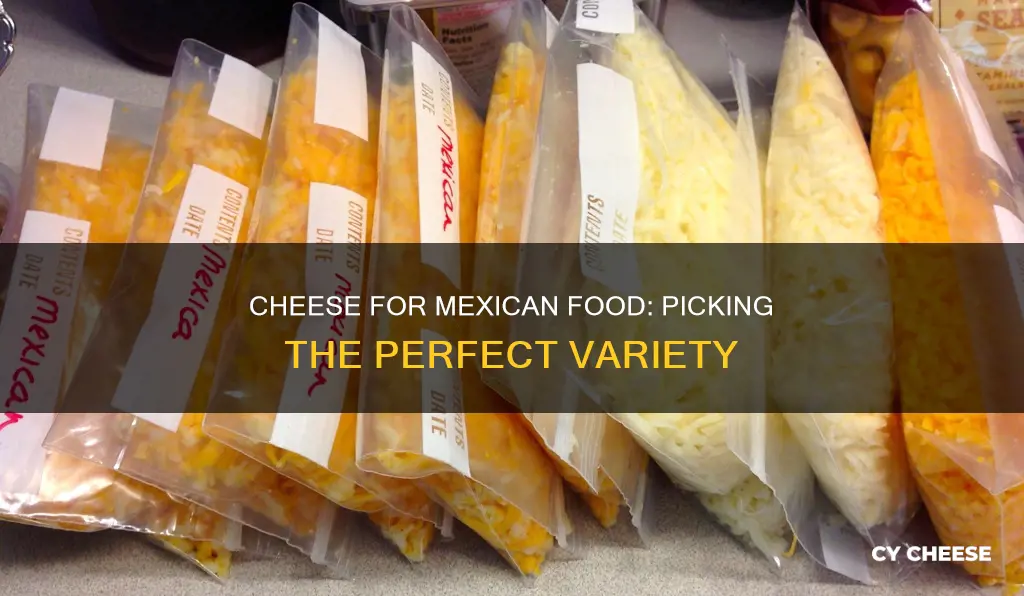 what cheese should be used in mexican food