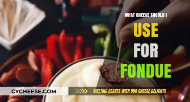 Cheese Fondue: Selecting the Perfect Melting Cheeses