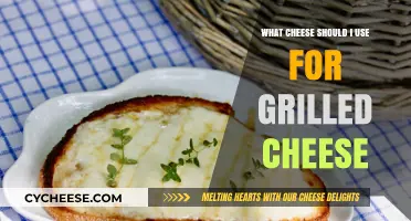 The Ultimate Cheesy Experience: Grilled Cheese Perfection