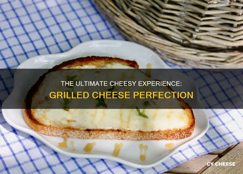 what cheese should i use for grilled cheese