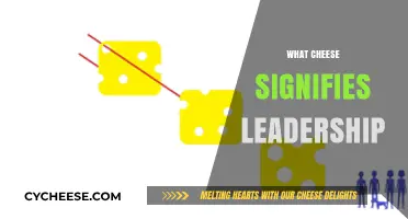 Cheese as a Metaphor: Unraveling Leadership Lessons from Dairy Delights