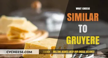 Discover Cheeses Like Gruyère: Creamy, Nutty Alternatives to Try
