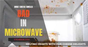 Why Does Cheese Stink When Microwaved?