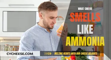 Cheese Whiff: Ammonia Alert!